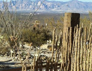 Boot Hill Through Ocotillo Fence