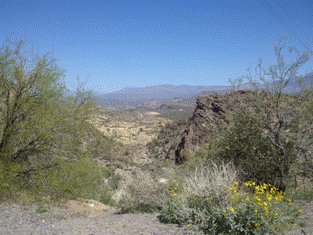 Lookout from Hwy 88